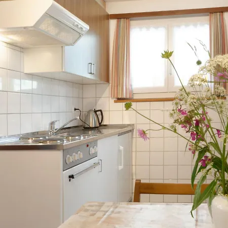 Hubertus-1 By Interhome Apartment *
